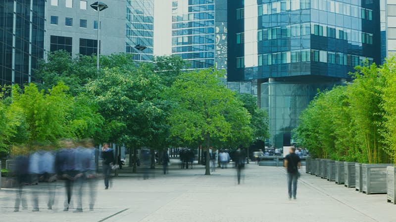 Why You Should Think Twice Before Extending a Counter Offer - DSJ Global - Blog