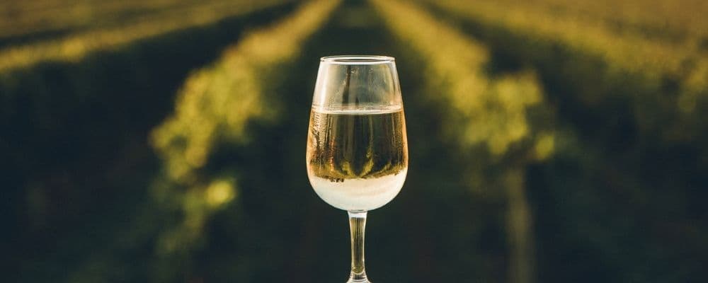 A Fresh Chilled Glass Of Ice Wine Overlooking A Canadian Vineyard During A Summer Sunset